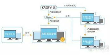 云柏春林 一次創業堅持十年，用咨詢點亮企業成長之路