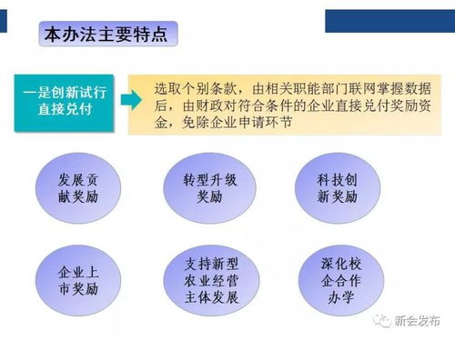 信息量超大，一圖讀懂新會(huì)“黃金十條” 解鎖區(qū)域發(fā)展的關(guān)鍵信息咨詢(xún)服務(wù)